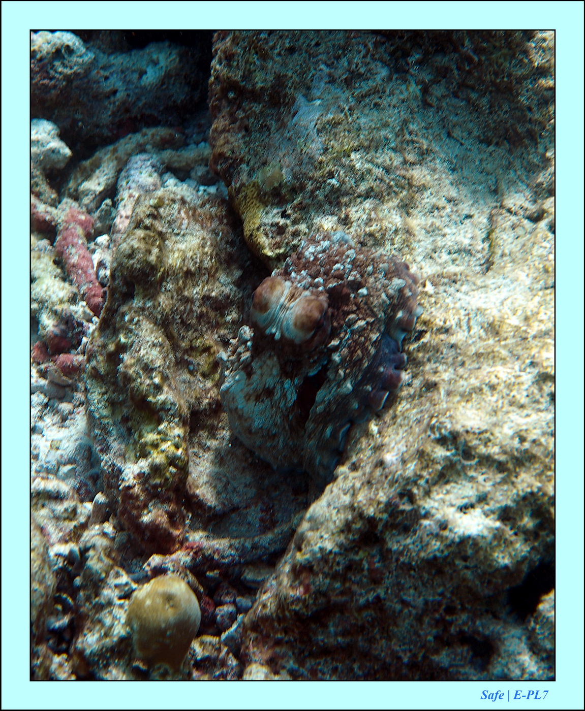 2023 - 07 - Sandies Bathala - 150